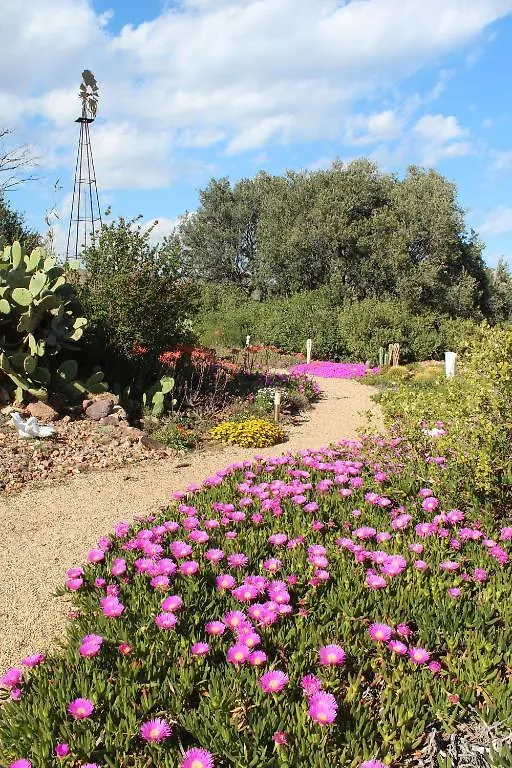 Country house El Jardin De Los Suenos Rodalquilar Spain